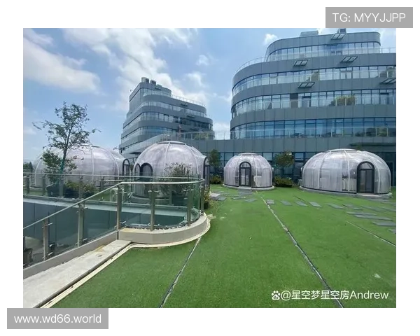 五洲国际酒店：尊享奢华体验与优质服务的理想之选